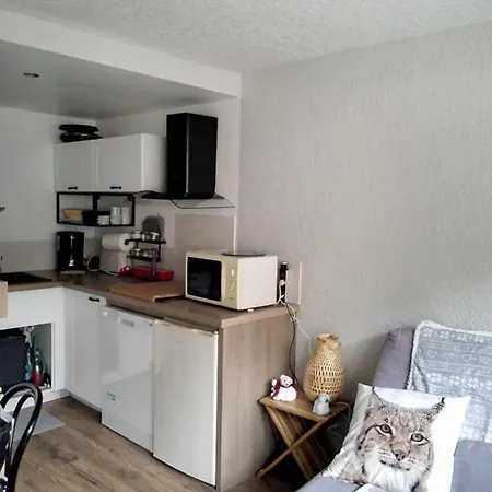 Apartment Lary Ski, Rando, Thermes, Balades Et Repos ! Saint-Lary-Soulan